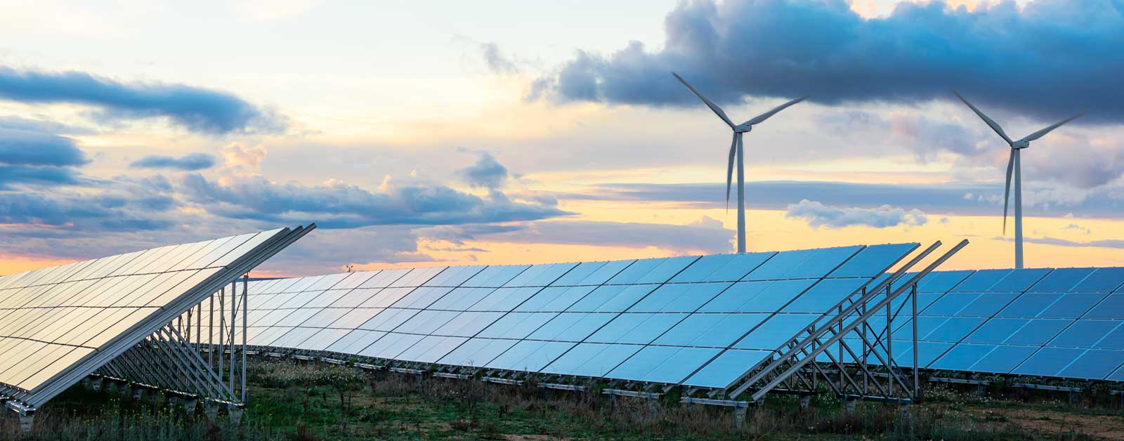 solar panels and wind turbines