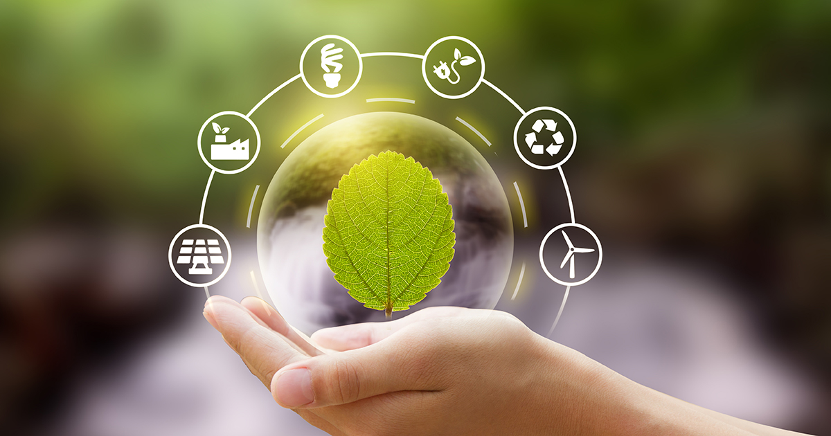 The Energy Transition Series