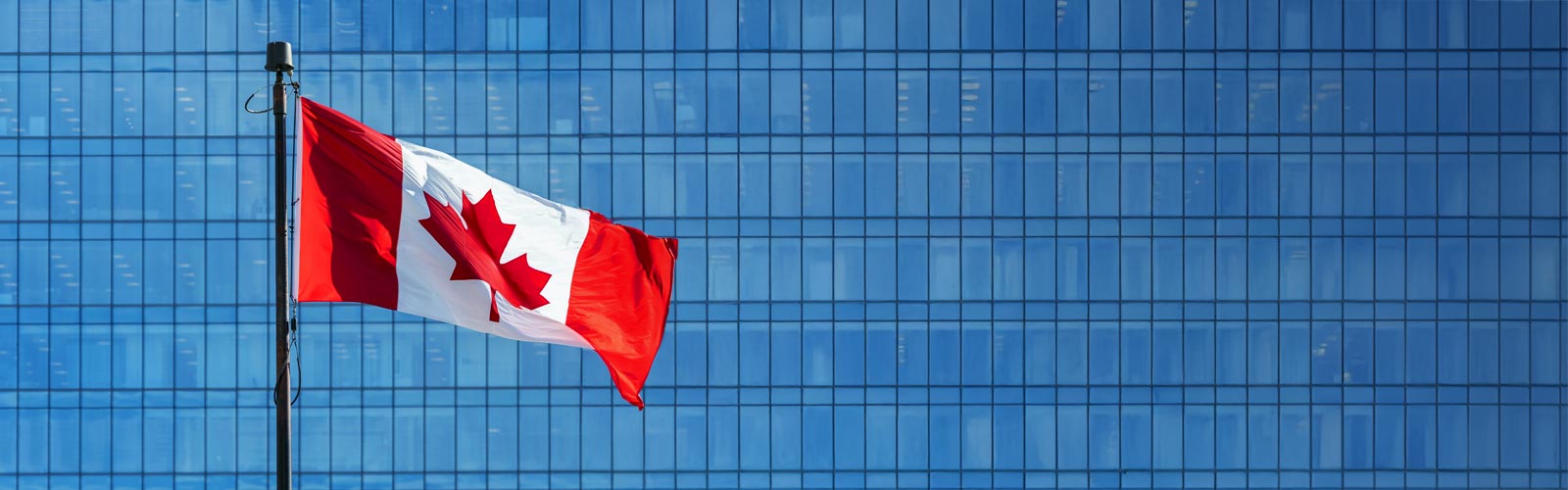  Drapeau canadien avec un gratte-ciel bleu derrière