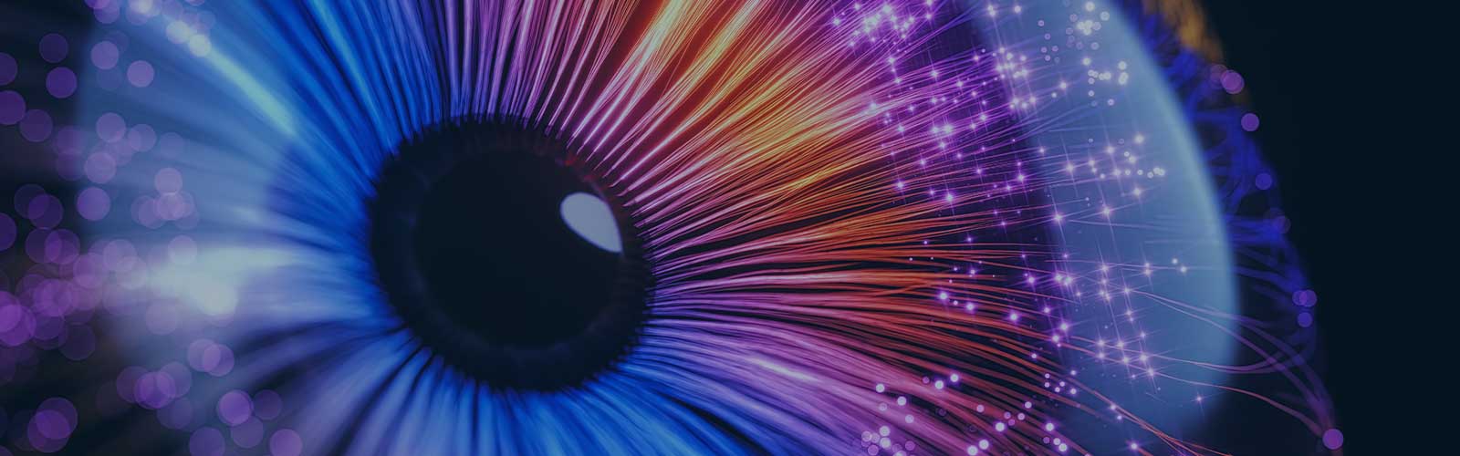  Oeil multicolore