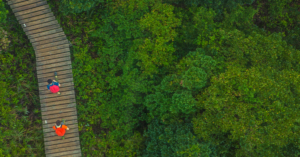 The CSA has competition: The Competition Act introduces new prohibitions on misleading environmental claims