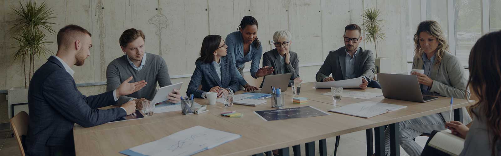 People in a meeting around a table 